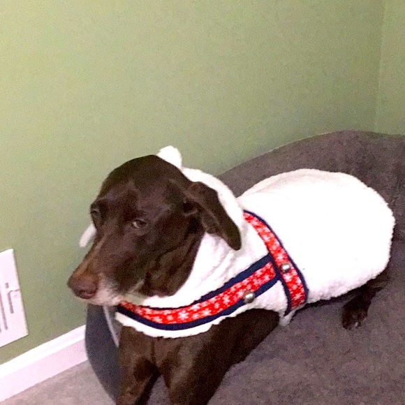 Target Other - Reindeer themed sweater for dogs